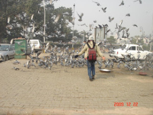 Delhi Drive